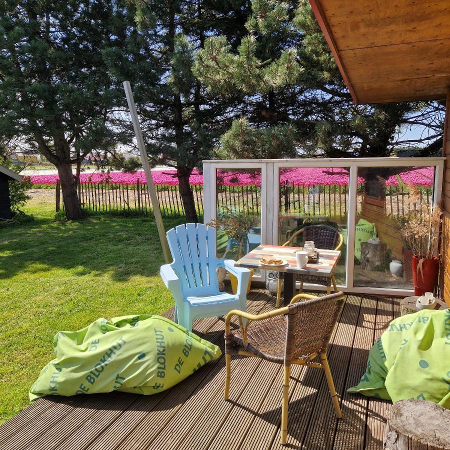 Vrijstaande Blokhut Villa Egmond-Binnen Ngoại thất bức ảnh