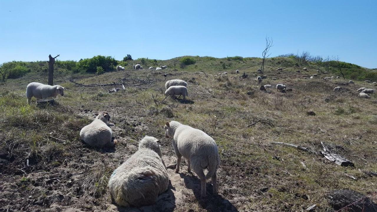 Vrijstaande Blokhut Villa Egmond-Binnen Ngoại thất bức ảnh
