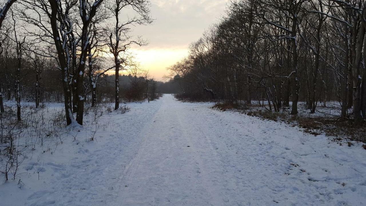 Vrijstaande Blokhut Villa Egmond-Binnen Ngoại thất bức ảnh