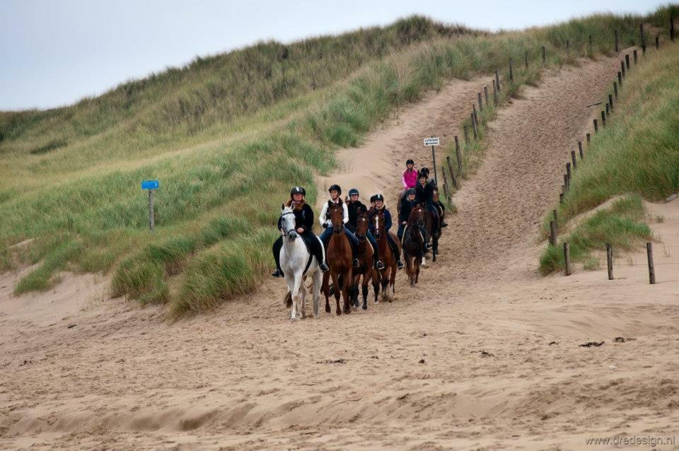 Vrijstaande Blokhut Villa Egmond-Binnen Ngoại thất bức ảnh